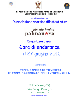 programma palmanova 2010