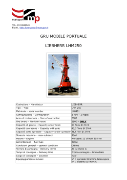 GRU MOBILE PORTUALE LIEBHERR LHM250