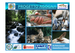 progetto agogna - Pescaamosca.net
