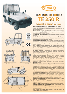 TE 250 R TE 250 R - Italian Airport Technology