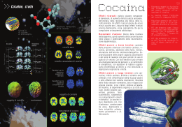 Libretto Catalogo della mostra, pagine sulla cocaina