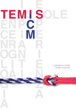 Brochure Temis - ICM