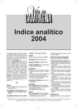 Indice analitico 2004