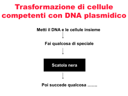 trasformazione.coli