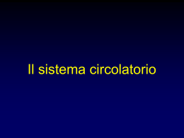 Il circolo