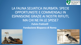 la fauna selvatica inurbata: specie opportuniste