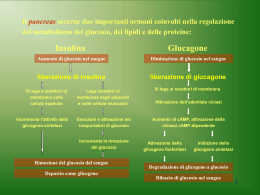 meccanismi di regolazione e ruolo degli ormoni