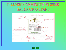 dal grano al pane