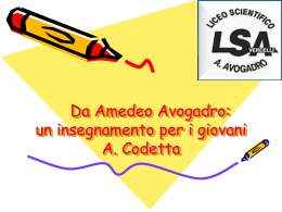 Collegio Docenti ITG - Liceo Scientifico Amedeo Avogadro