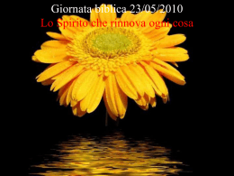 Lo Spirito che rinnova ogni cosa