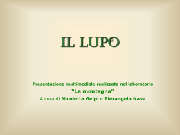 Il lupo - Zic - La Scuola Primaria Statale Padre B. Pilenga di Comun