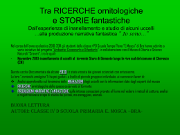 Io sono un pettirosso