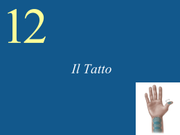 Sensation & Perception, Chapter 12