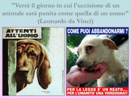 CUORE DI CANE (di Maria Monti) &hellip;.&hellip;.Quando ti sento passare il