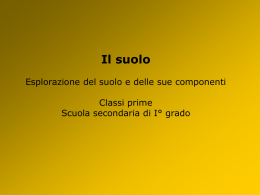 suolo - IC camaiore 3