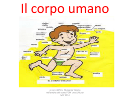 Il corpo umano per bambini - "Gesualdo Nosengo" Petrosino