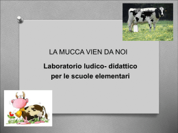 ``La mucca vien da noi``- Laboratorio ludico- didattico per le