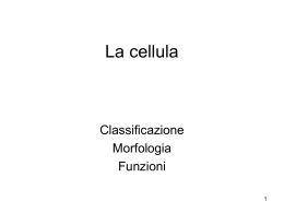 La cellula