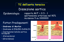 TC dell`aorta toracica