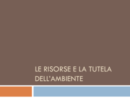 LE RISORSE E La tutela dell`ambiente