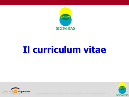 Curriculum vitae
