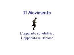 Scheletro e Muscoli