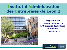 Institut d`Administration des Entreprises de Lyon 3