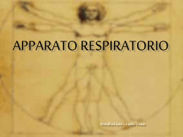 il sistema respiratorio
