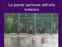 Le piante carnivore dell`orto botanico
