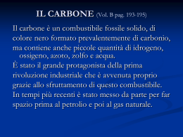 IL CARBONE - G. Garibaldi