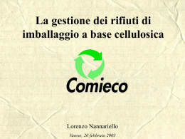 COMIECOfeb2003 - Provincia di Varese