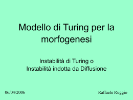 Il Modello di Turing per la Morfogenesi
