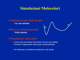 Simulazioni Monte Carlo e Dinamica Molecolare