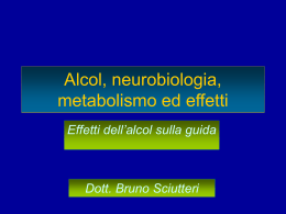 L`alcol e i suoi effetti sulla guida