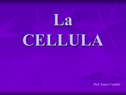 La CELLULA