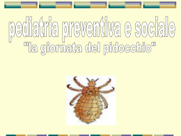 la pediculosi nuovo protocollo dia