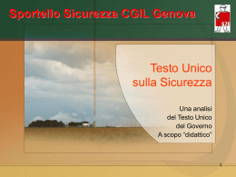 Testo Unico sulla Sicurezza