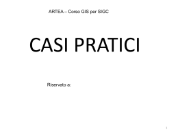 istruzioni uso GIS Artea1-rev1_1_CASI