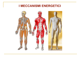 I_meccanismi_energetici
