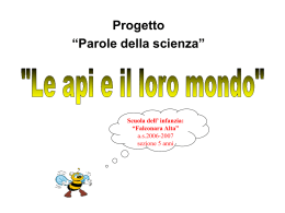 Le api e il loro mondo - Le parole della scienza