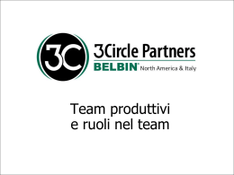 Cos`&egrave; un ruolo nel team?