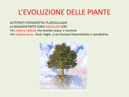 regno delle piante - Collegio San Giuseppe De Merode