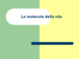 Le biomolecole