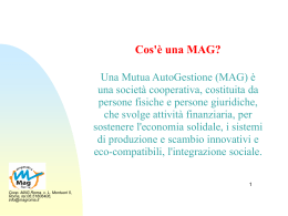 Cos`&egrave; una MAG? Una Mutua AutoGestione (MAG) &egrave; una societ&agrave;