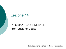 Lezione 14 - Luciano Costa