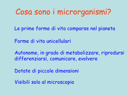 Cosa sono i microrganismi?