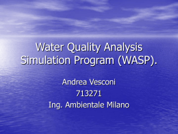 Water Quality Analysis Simulation Program (WASP).