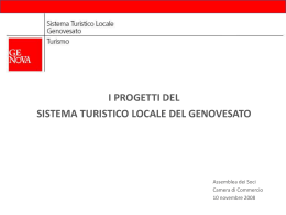 COSA E` IL SISTEMA TURISTICO LOCALE