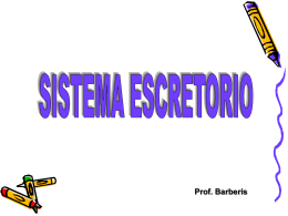 sistema escretorio - Istituto Sant`Anna