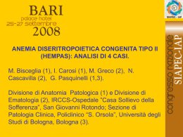 123 - M.Bisceglia, I.Carosi, et al.